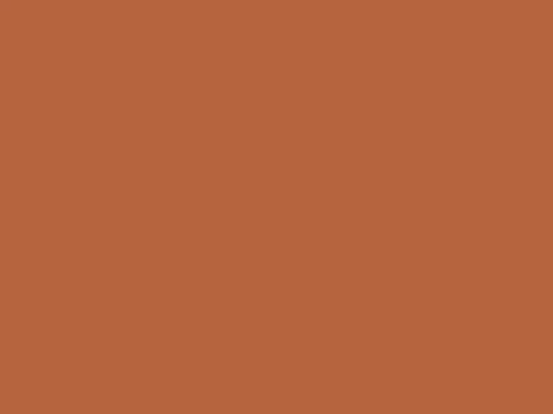 Zebra finch pairs
