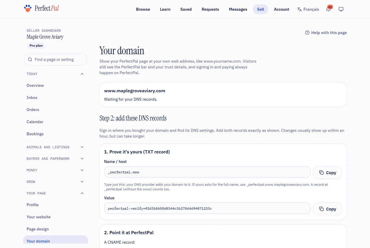 The Your domain page with the DNS records to add